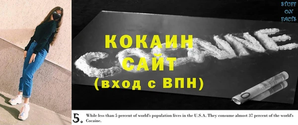 тгк Абаза