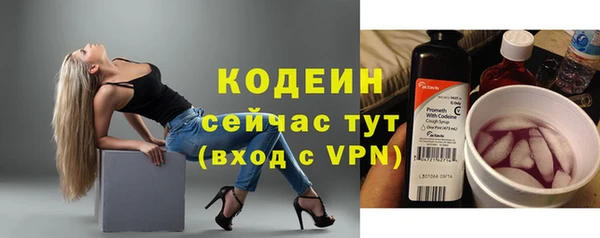 тгк Абаза