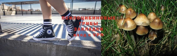 ALPHA PVP Алзамай
