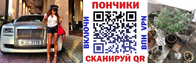 купить закладку  Ачхой-Мартан  Бошки марихуана семена 